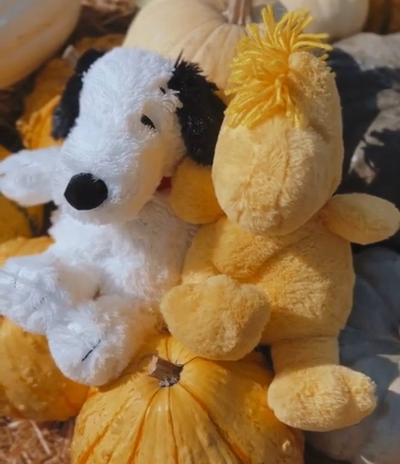 Snoopy Warmies