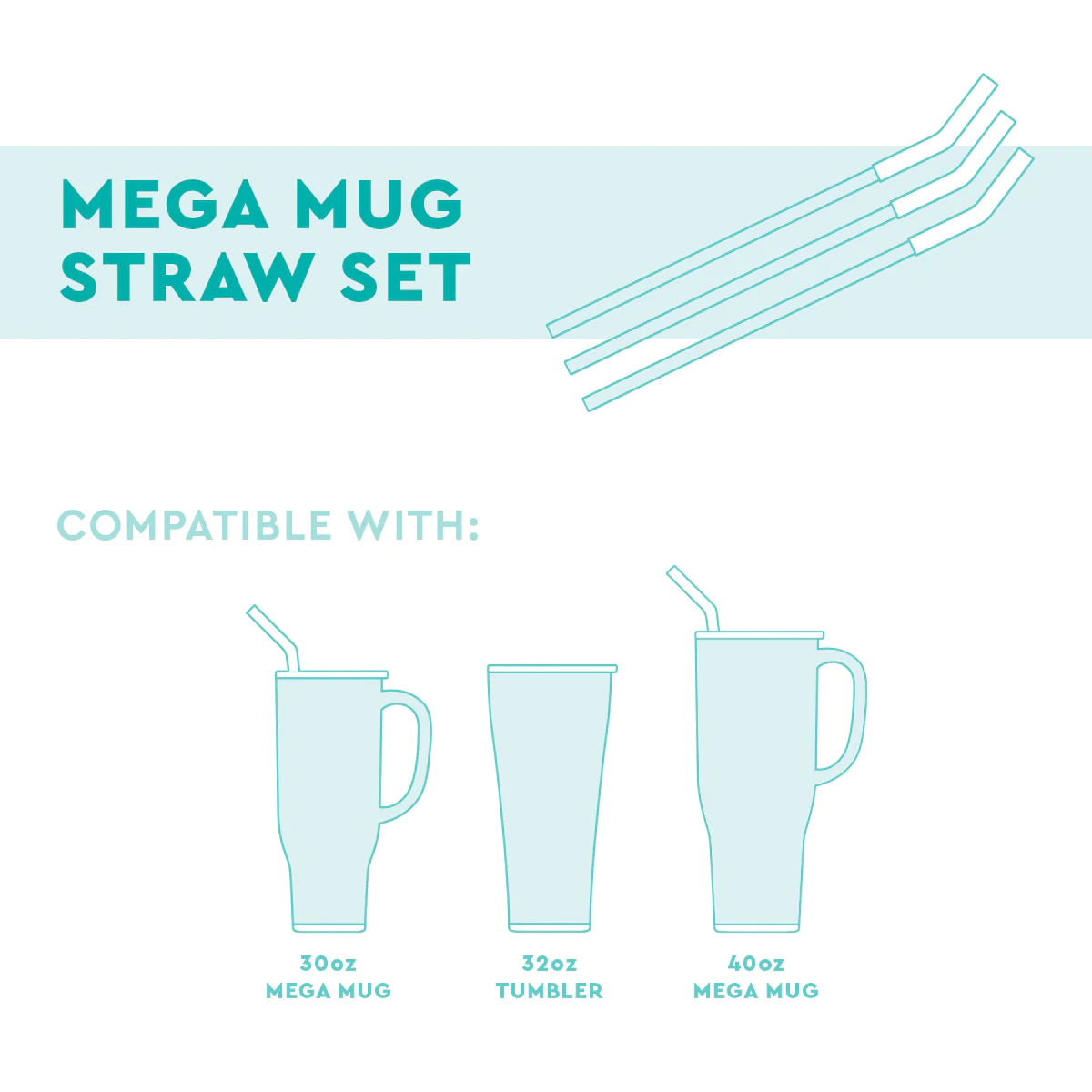 Blush/Coral/Hot Pink Reusable Straw Set (Mega Mugs)