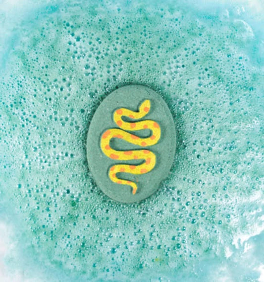 Rainforest Adventure Bath Bomb