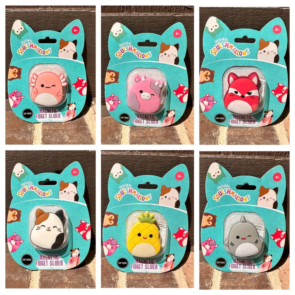 Squishmallows - Magnetic Fidget Slider