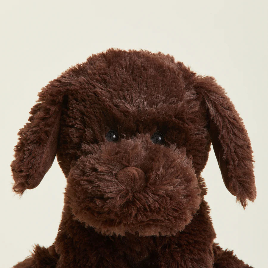 Chocolate Labrador Warmies