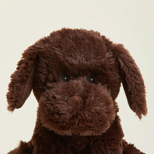 Chocolate Labrador Warmies