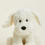 Yellow Labrador Warmies