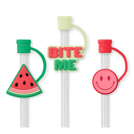 Melon Slice Straw Toppers