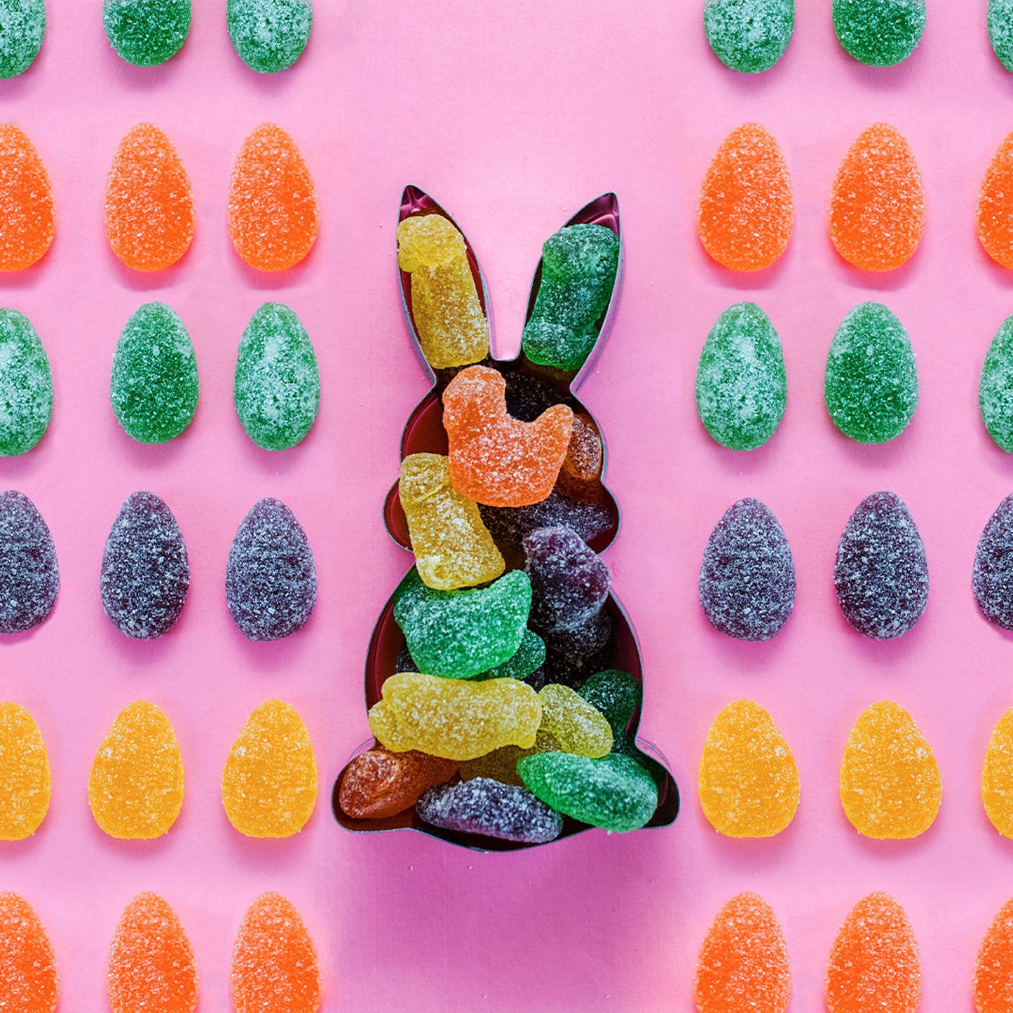 *SPRING COLLECTION* - Chicks & Bunnies
